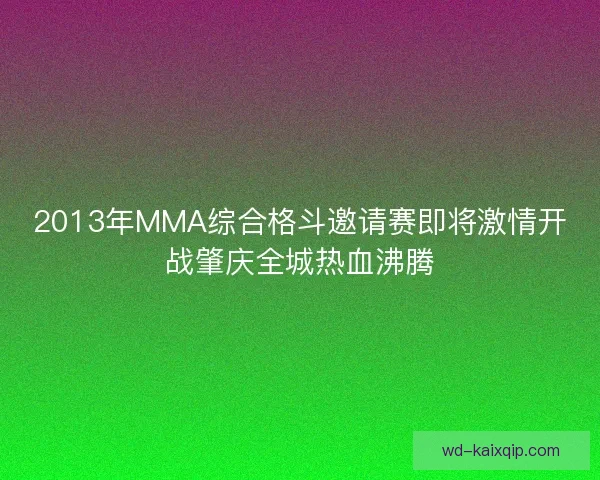 2013年MMA综合格斗邀请赛即将激情开战肇庆全城热血沸腾